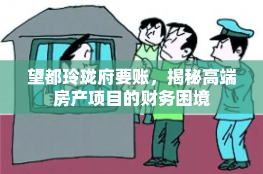 望都玲珑府要账，揭秘高端房产项目的财务困境