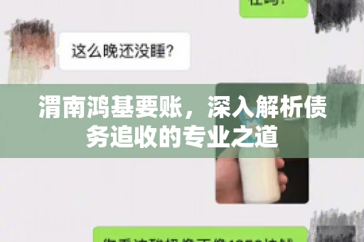 渭南鸿基要账，深入解析债务追收的专业之道