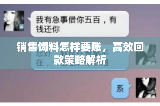 销售饲料怎样要账，高效回款策略解析