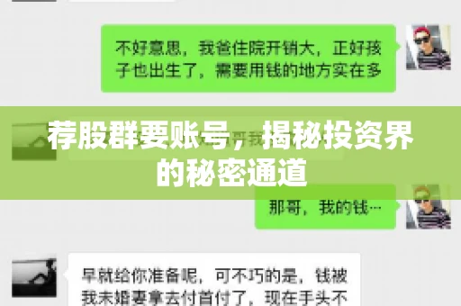 荐股群要账号，揭秘投资界的秘密通道