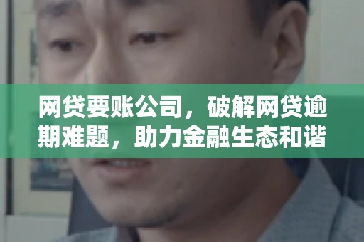 网贷要账公司,破解网贷逾期难题,助力金融生态和谐发展 网贷要账公司,破解网贷逾期难题,助力金融生态和谐发展
