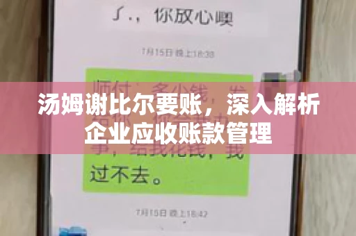 汤姆谢比尔要账，深入解析企业应收账款管理