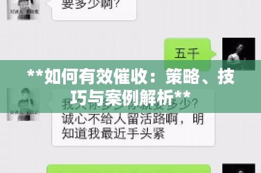 **如何有效催收：策略、技巧与案例解析**