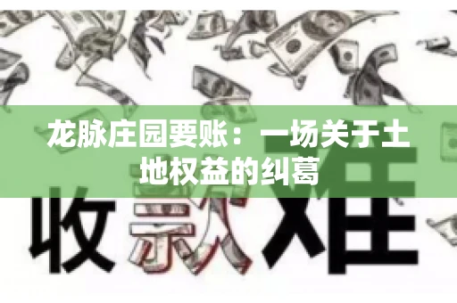 龙脉庄园要账：一场关于土地权益的纠葛