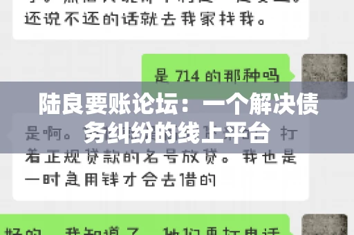 陆良要账论坛：一个解决债务纠纷的线上平台