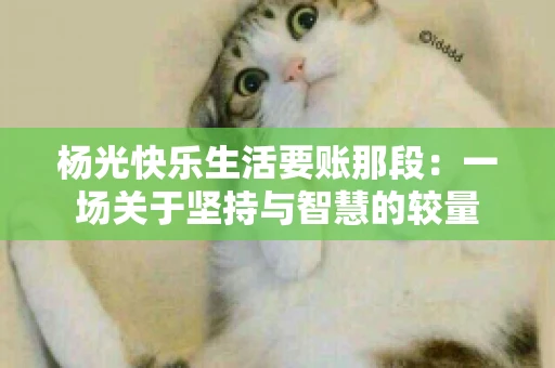 杨光快乐生活要账那段:一场关于坚持与智慧的较量 杨光快乐生活要账那段:一场关于坚持与智慧的较量