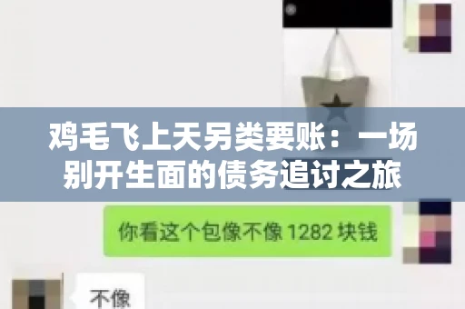 鸡毛飞上天另类要账:一场别开生面的债务追讨之旅 鸡毛飞上天另类要账:一场别开生面的债务追讨之旅