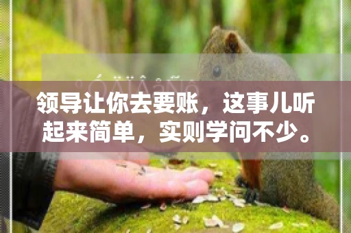 领导让你去要账，这事儿听起来简单，实则学问不少。我有个朋友，叫小王，最近就碰上了这样的难题。今天，咱们就聊聊这个话题，看看在职场中，面对领导交代的要账任务，我们应该怎么应对。