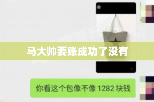 马大帅要账成功了没有