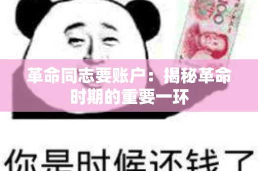 革命同志要账户：揭秘革命时期的重要一环