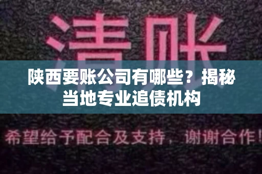 陕西要账公司有哪些？揭秘当地专业追债机构