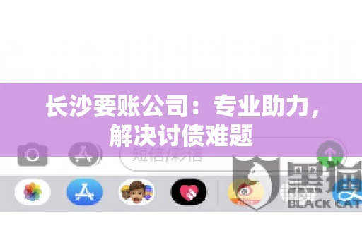 长沙要账公司：专业助力，解决讨债难题