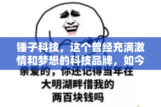 锤子科技，这个曾经充满激情和梦想的科技品牌，如今却陷入了要账的困境。今天，我们就来聊聊锤子科技要账的那些事儿。