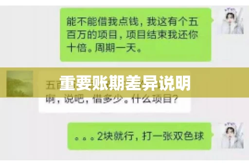 重要账期差异说明 重要账期差异说明