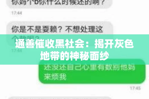 通善催收黑社会：揭开灰色地带的神秘面纱