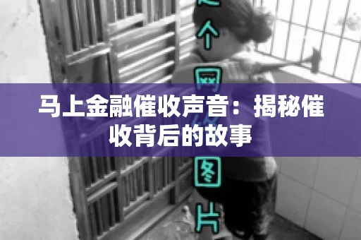 马上金融催收声音：揭秘催收背后的故事