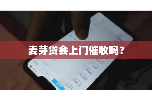麦芽贷会上门催收吗？