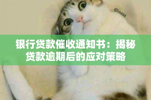 银行贷款催收通知书：揭秘贷款逾期后的应对策略