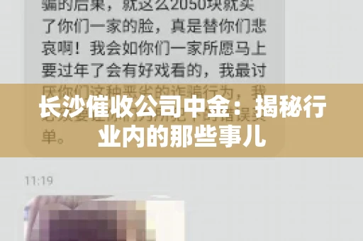 长沙催收公司中金：揭秘行业内的那些事儿